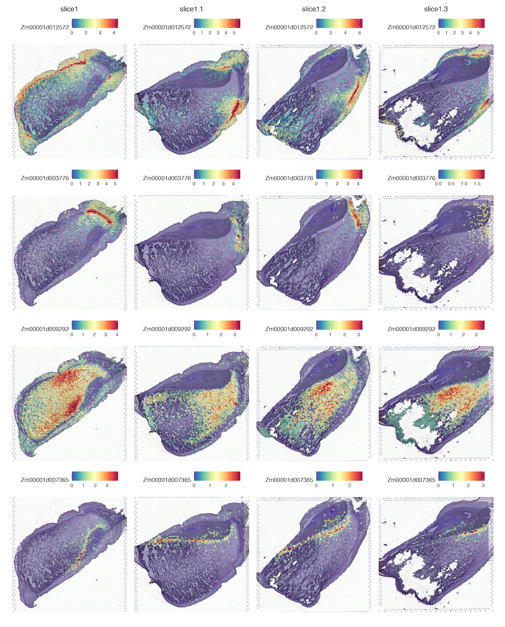 Example spatial expression plot