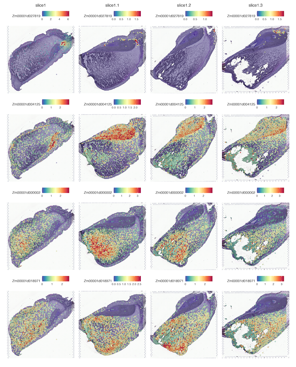 Example spatial expression plot