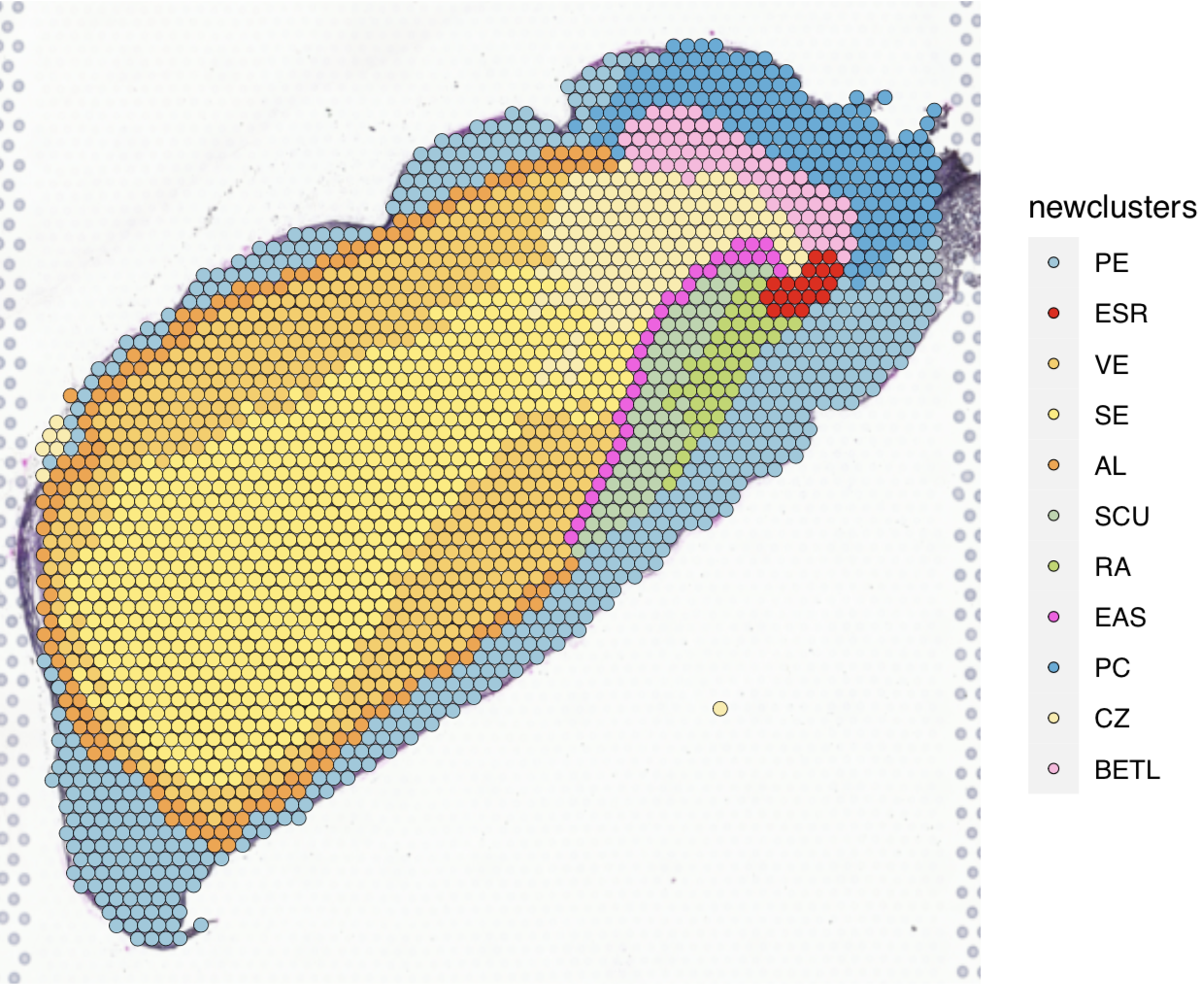 Example spatial expression map