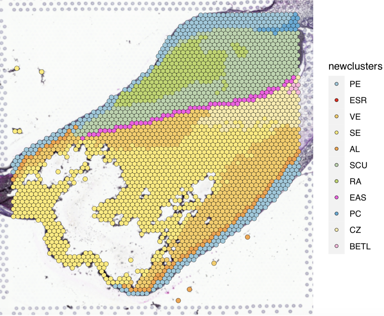 Example spatial expression map